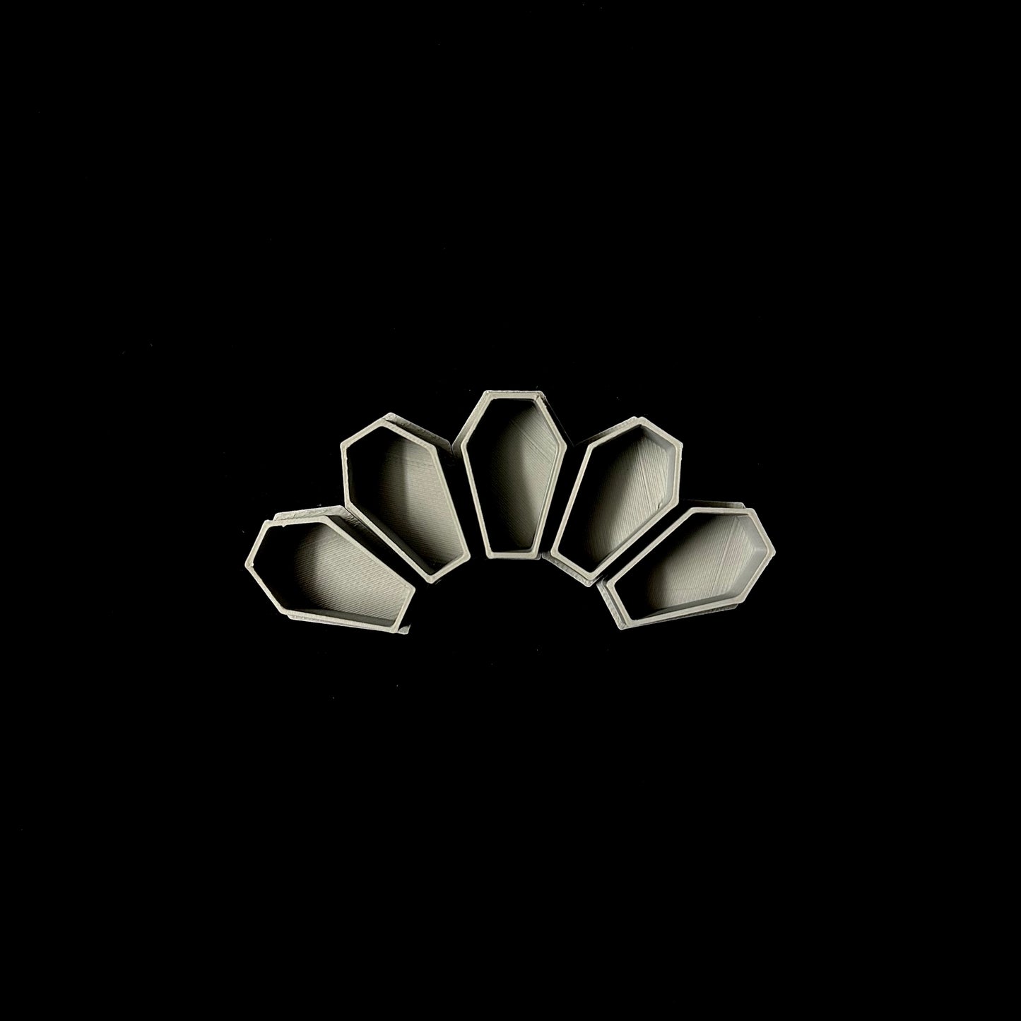 Coffin InkCaps