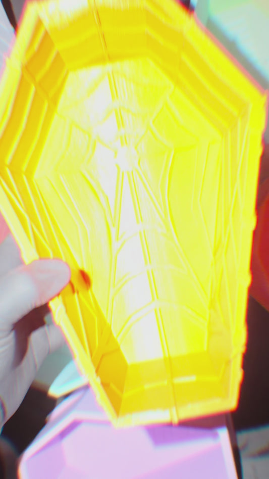 GIANT STAND UP SPIDER-WEB COFFIN SAMPLE