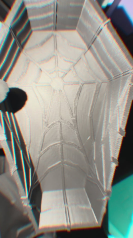 SPIDER-WEB COFFIN SAMPLE